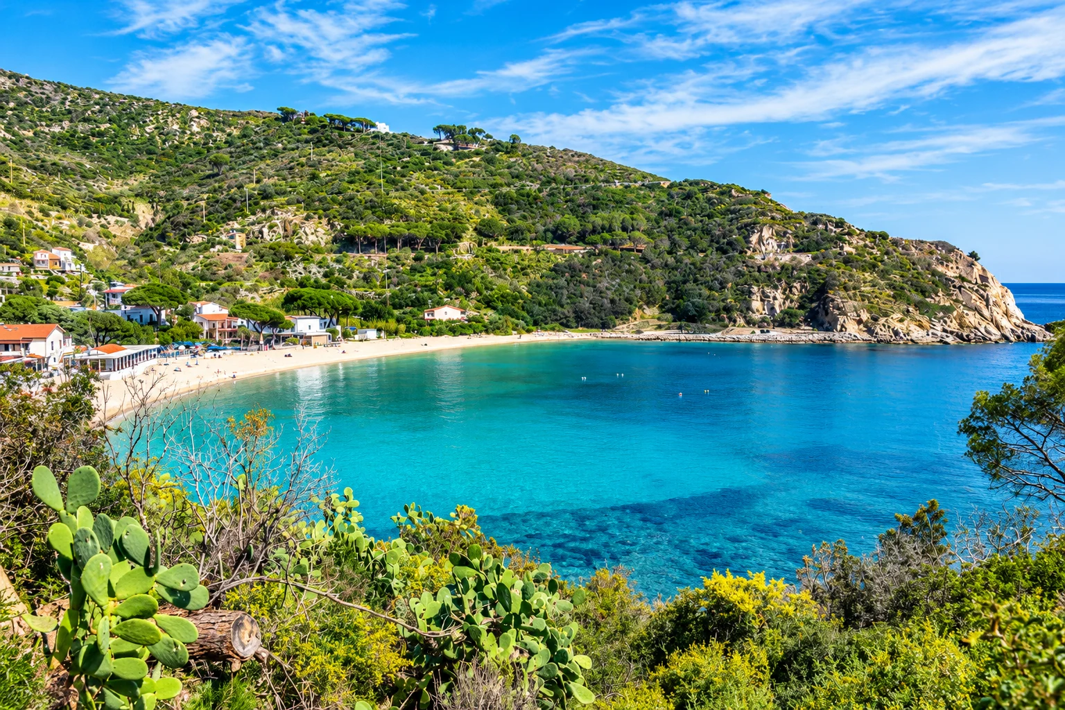 Cavoli · Isola d'Elba